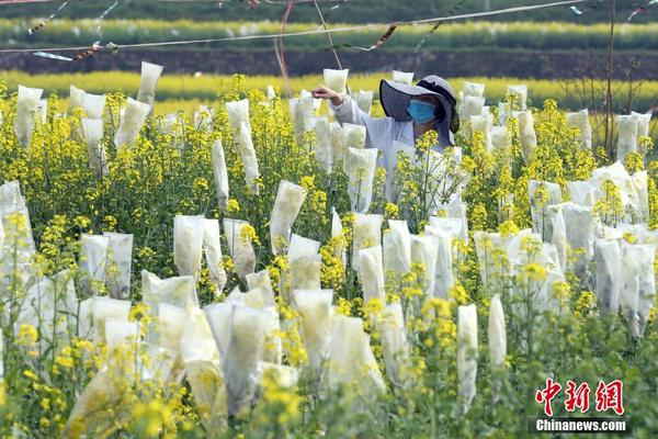 【亞洲黃色片】新春走底層｜深圳入境游商場喜迎明麗春日