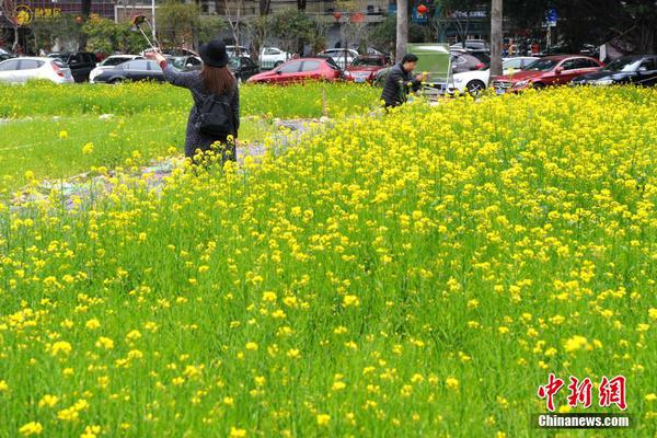 保證春耕備耕“糧草足” 多部分合力答好農資供給“必答題”